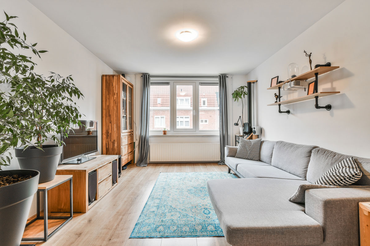 cozy2-living-room-modern-apartment